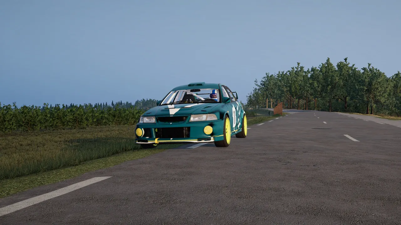 Rally car on a country road lined with vineyards in the morning